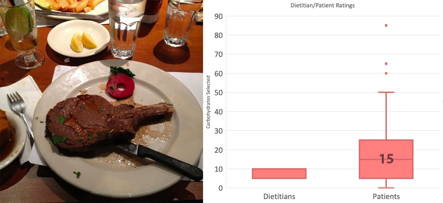 A second meat dish with box plots comparing dietitian and patient carb estimates